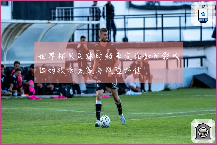 世界杯买足球时赔率变化如何影响你的投注决策与风险评估